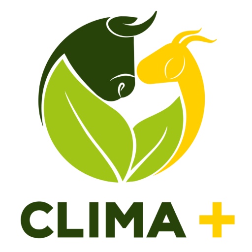 Clima Positivo